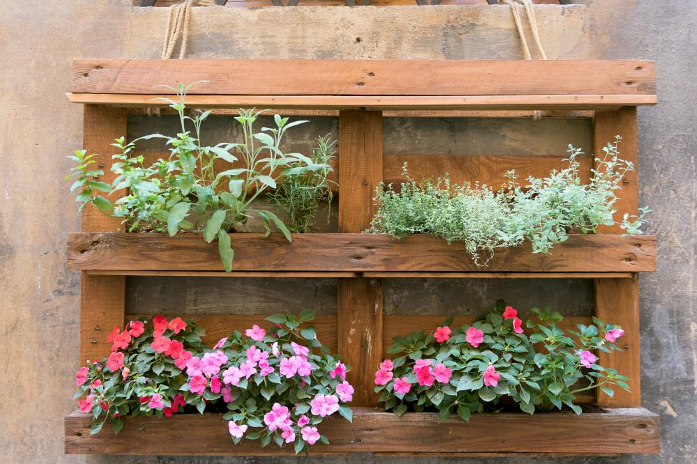 palette fleurs